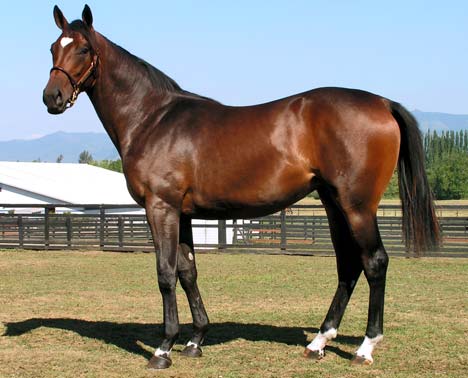 Hip 46