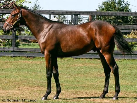 Hip 206