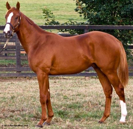 Hip 47