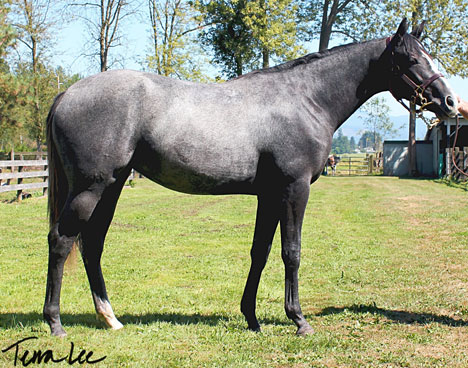 Hip 110