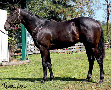 Hip 52