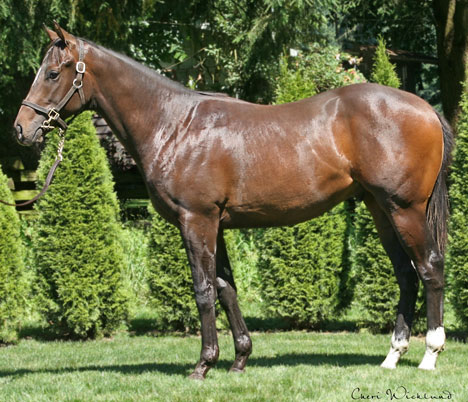 Hip 68