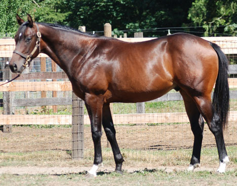 Hip 78
