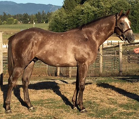 Hip 100