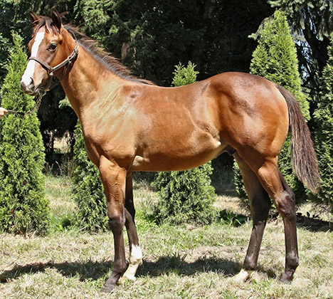 Hip 200