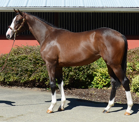 Hip 25