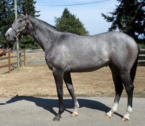 Hip 34
