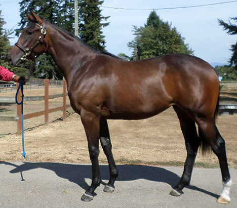 Hip 42