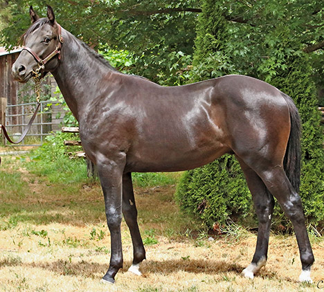 Hip 54