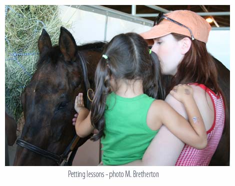 Chinook Pass getting pets from admirers