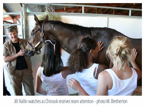 Chinook Pass and admirers
