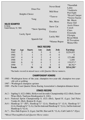 Hilco Scamper Pedigree and Race Record
